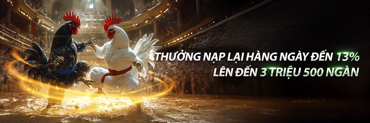 Biểu tượng Email Hỗ Trợ
